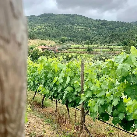 Casa Grande Do Seixo Feriegård *