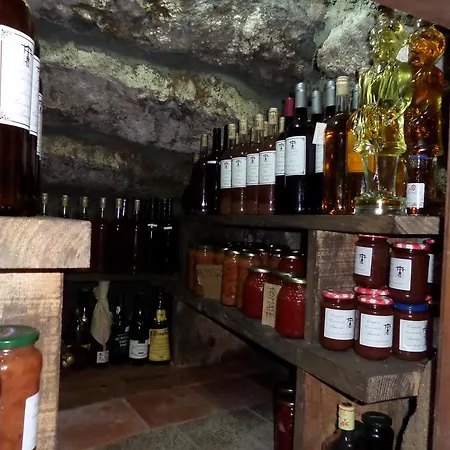 Casa Grande Do Seixo Farm stay Vidago