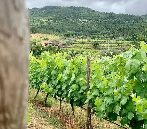 Casa Grande Do Seixo Çiftlik konaklama *