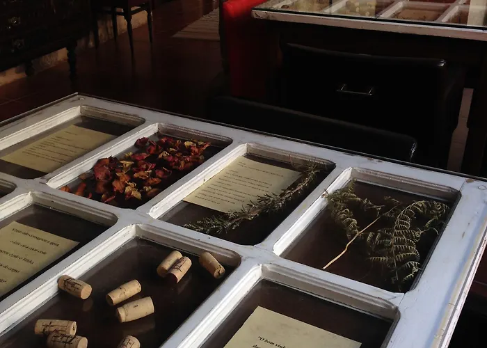 Casa Grande Do Seixo