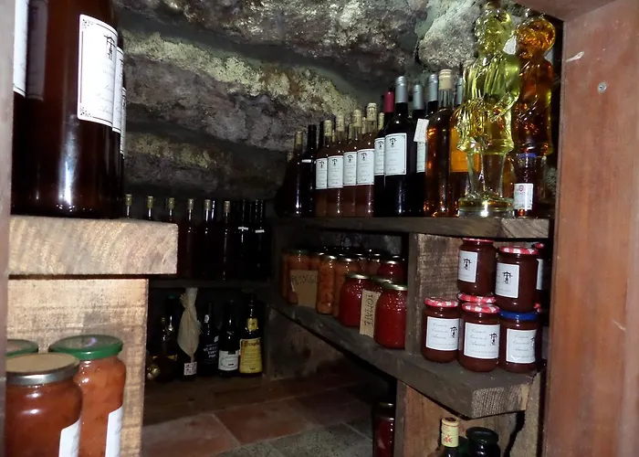 Casa Grande Do Seixo Çiftlik konaklama Vidago